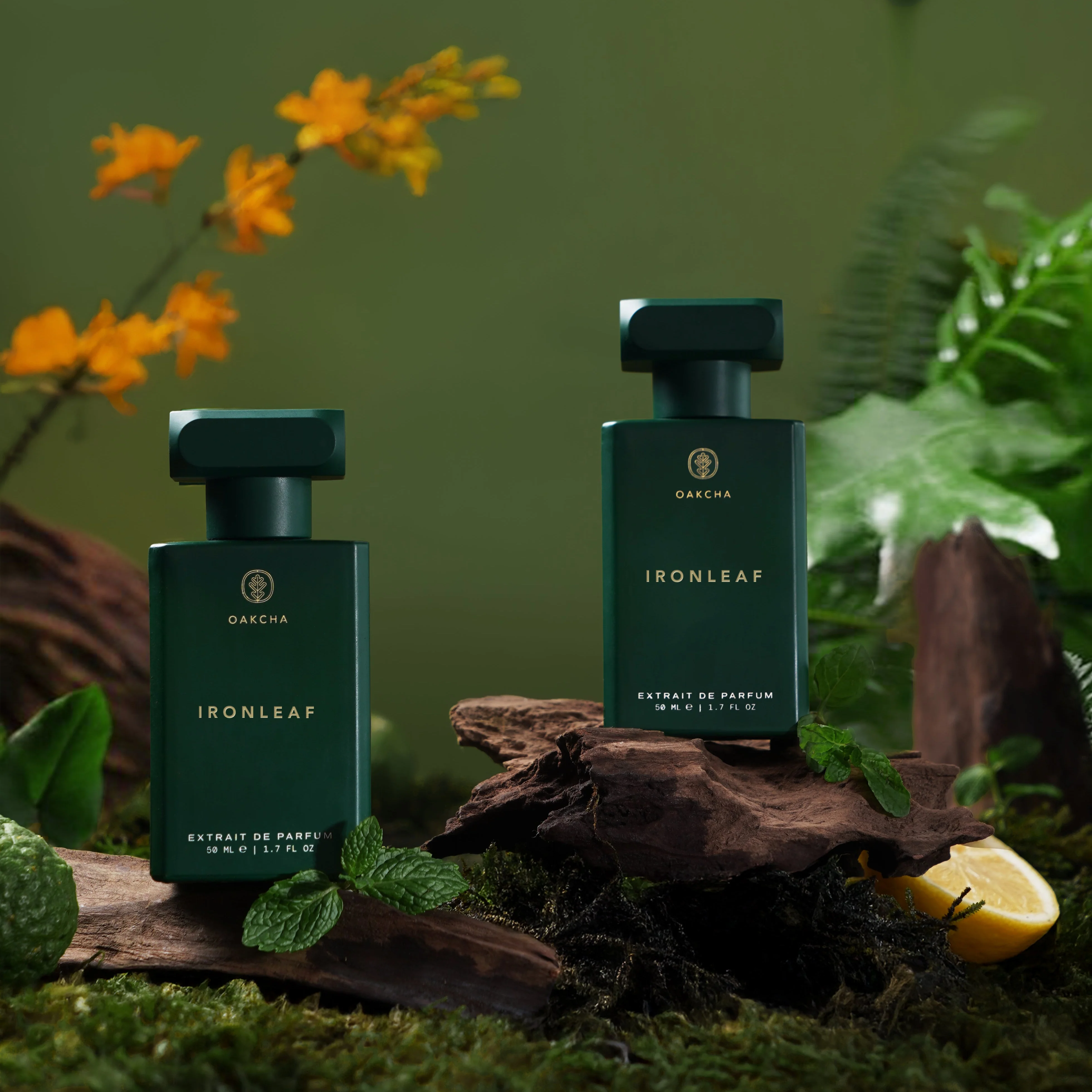 Ironleaf - Image 2